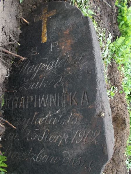 Nagrobek Magdaleny Karpiwnickiej, cmentarz na Rossie w Wilnie, stan na 2013 r.