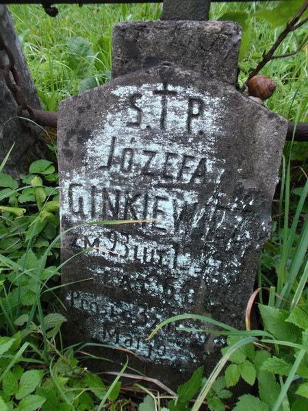 Nagrobek Józefy Ginkiewicz, cmentarz na Rossie w Wilnie, stan na 2013 r.