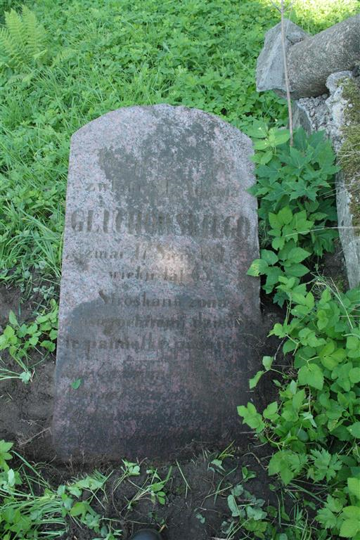 Nagrobek Adama Gluchowskiego, cmentarz na Rossie w Wilnie, stan z 2013