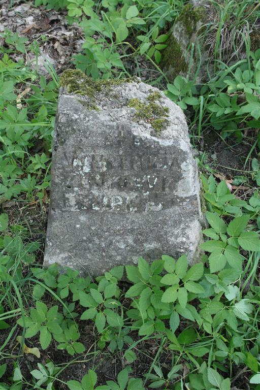 Tombstone of Wiktoria Zienkiewicz, Rossa cemetery in Vilnius, state of 2013