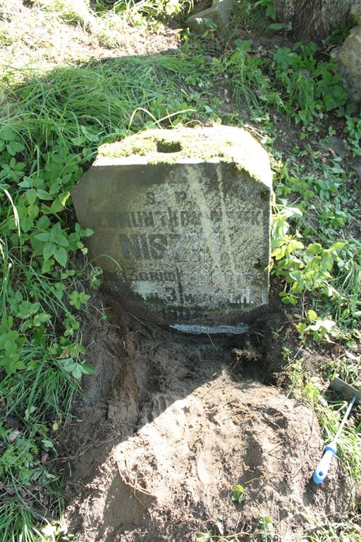 Nagrobek Edmunta i Franciszka Niszków, cmentarz na Rossie w Wilnie, stan z 2013