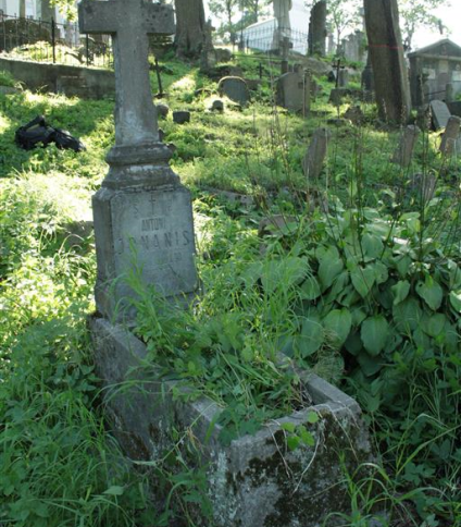 Nagrobek Antoniego Jonanis, cmentarz na Rossie w Wilnie, stan z 2013