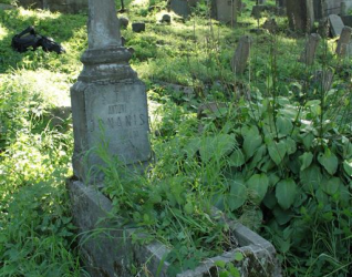 Nagrobek Antoniego Jonanis, cmentarz na Rossie w Wilnie, stan z 2013