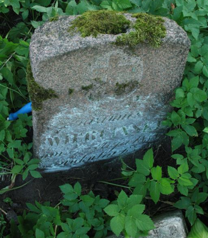 Nagrobek Kazimierza Wiercińskiego, cmentarz na Rossie w Wilnie, stan z 2013