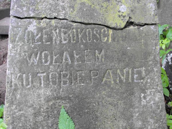 Fragment (1) nagrobka N. N. Boguckiej z cmentarza Na Rossie w Wilnie, stan z 2013