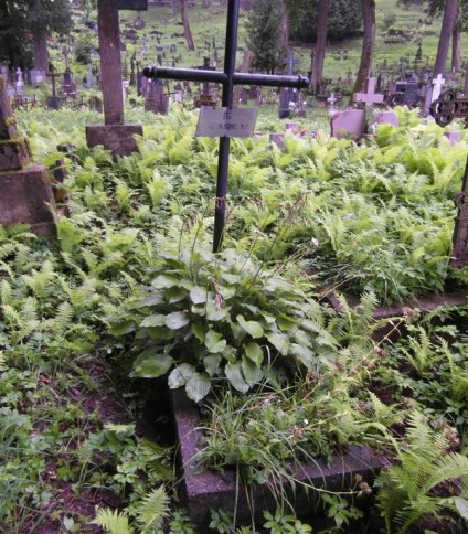 Nagrobek Józefy Szostak z cmentarza Na Rossie w Wilnie, stan z 2013