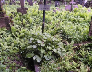 Nagrobek Józefy Szostak z cmentarza Na Rossie w Wilnie, stan z 2013