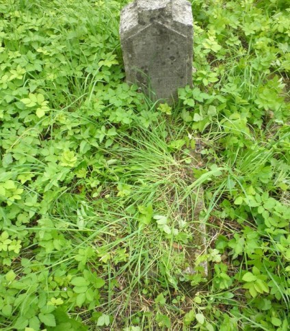 Nagrobek Leopolda Waszkiewicza, cmentarz Na Rossie w Wilnie, stan z 2013