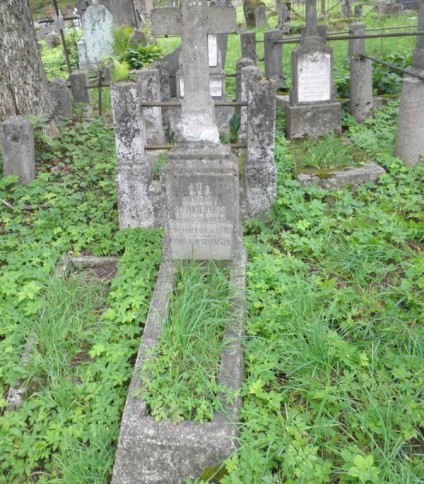 Nagrobek Wincentego Rynkiewicza, cmentarz Na Rossie w Wilnie, stan z 2013