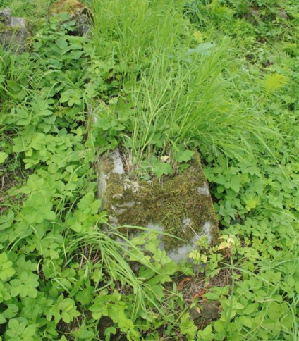 Nagrobek Kazimierza Czarniawskiego, cmentarz na Rossie w Wilnie, stan z 2013