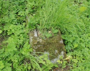 Nagrobek Kazimierza Czarniawskiego, cmentarz na Rossie w Wilnie, stan z 2013