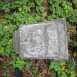 Fotografia przedstawiająca Tombstone of Bolesław and Zofia Kolatowicz