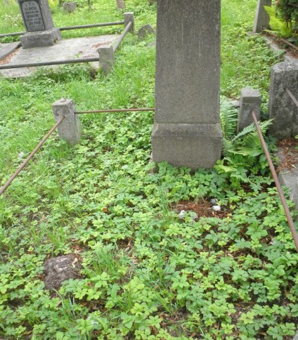 Nagrobek Rudaby Adalfy, cmentarz Na Rossie w Wilnie, stan z 2013