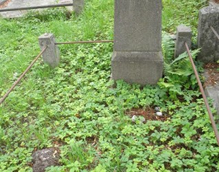 Nagrobek Rudaby Adalfy, cmentarz Na Rossie w Wilnie, stan z 2013