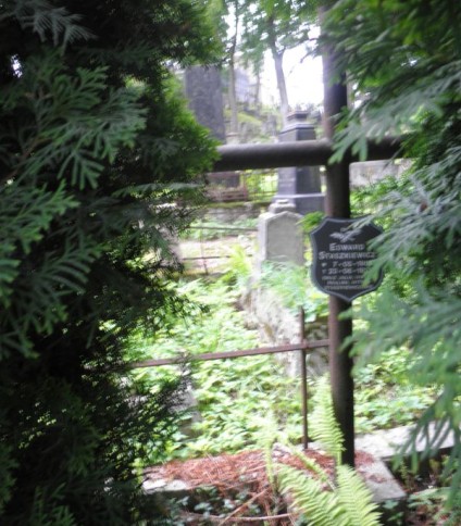 Nagrobek rodziny Staszkiewiczów, cmentarz Na Rossie w Wilnie, stan z 2013