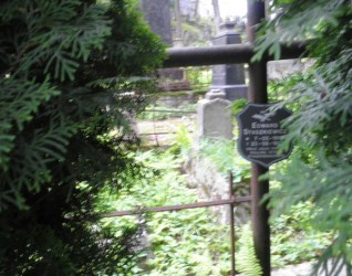 Nagrobek rodziny Staszkiewiczów, cmentarz Na Rossie w Wilnie, stan z 2013