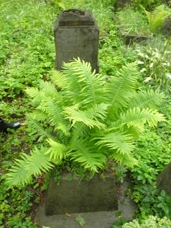 Tombstone of Paulina Legus, Na Rossie cemetery in Vilnius, as of 2013