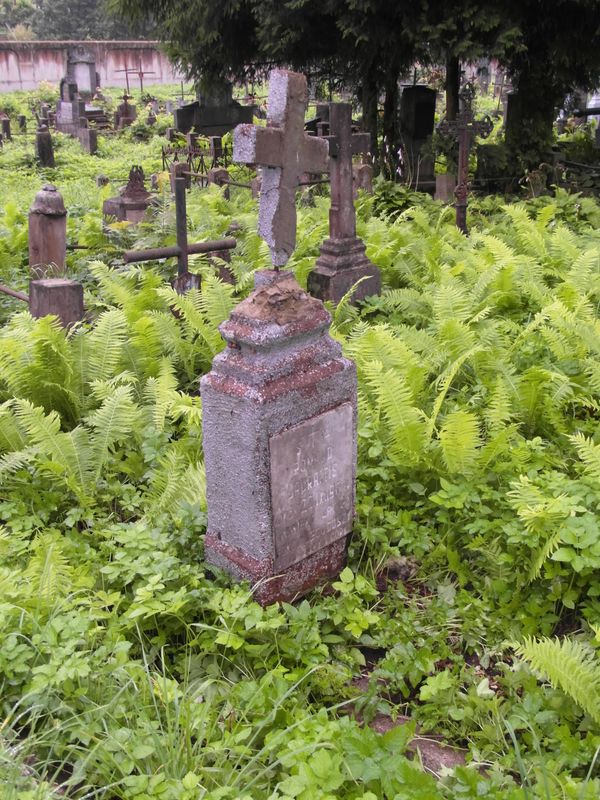 Tombstone of Romald Lauraitis, Na Rossie cemetery in Vilnius, state of 2013