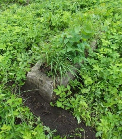 Nagrobek Petroneli Mogilnickiej, cmentarz na Rossie w Wilnie, stan na 2013 r.