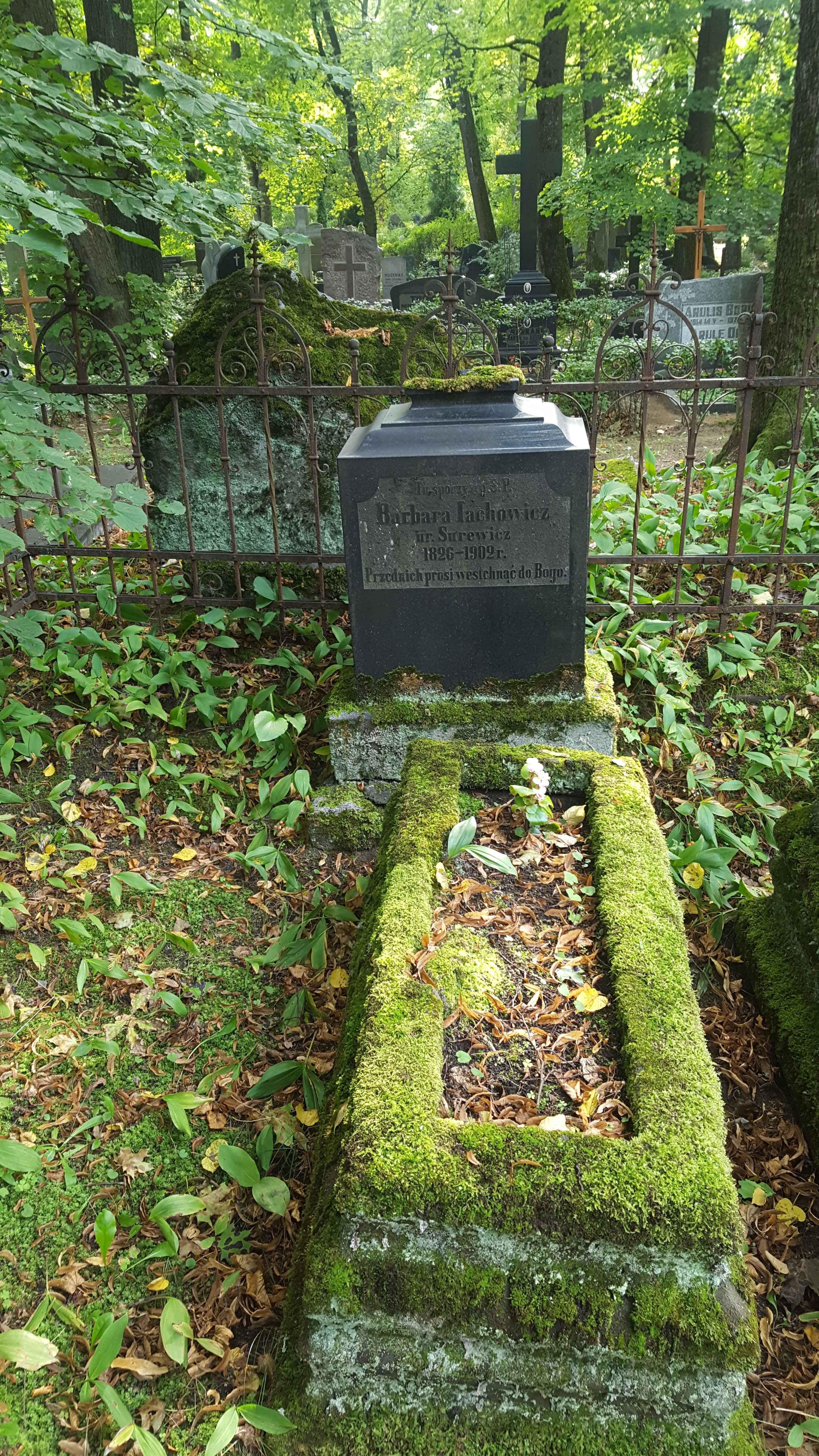 Tombstone of Barbara Lachowicz, St Michael's cemetery in Riga, as of 2021.