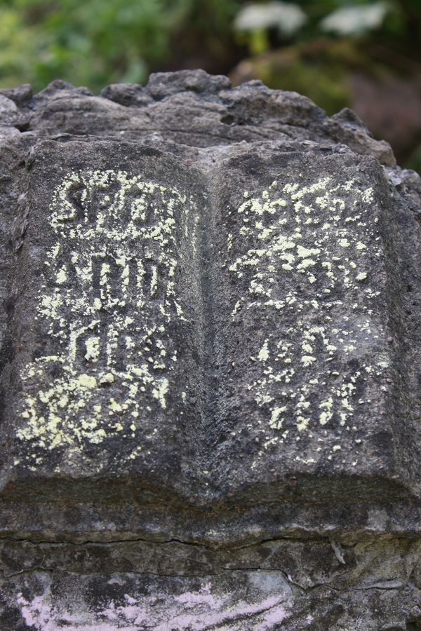 Fragment of the gravestone of Jadwiga Szwedes from the Ross Cemetery in Vilnius, as of 2013.