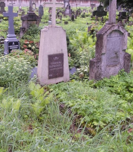 Nagrobek Stanisława Rymkiewicza, cmentarz Na Rossie w Wilnie, stan z 2013