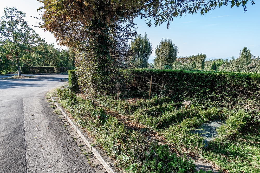 Fotografia przedstawiająca Cmentarz Bois-de-Vaux w Lozannie