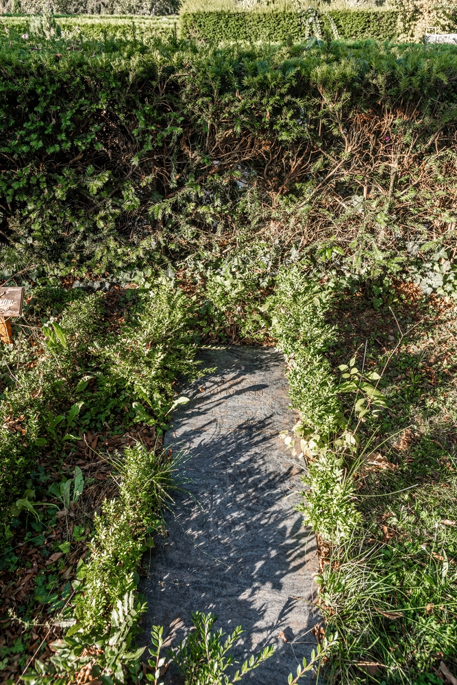 Fotografia przedstawiająca Cmentarz Bois-de-Vaux w Lozannie