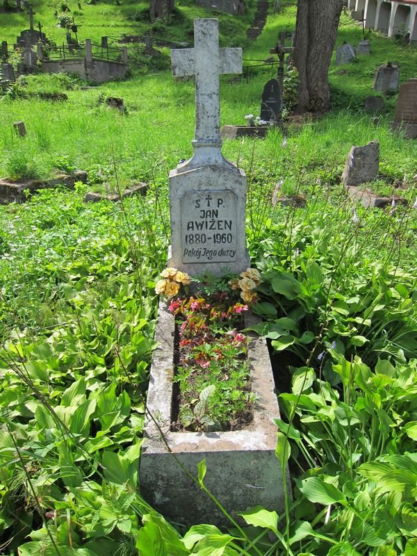 Nagrobek Jana Awiżena, cmentarz na Rossie w Wilnie, stan z 2013