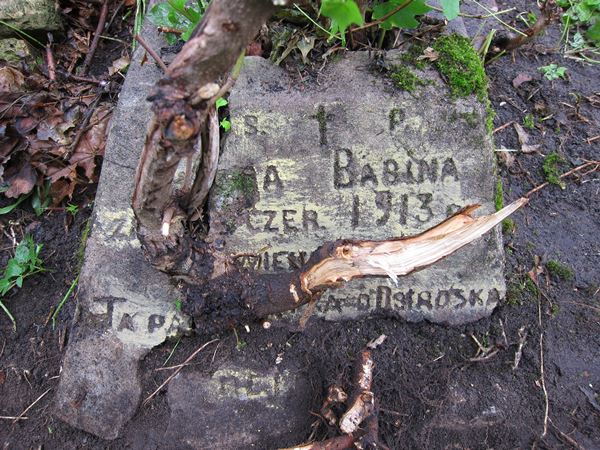 Inskrypcja na nagrobku N.N. Babiny, cmentarz na Rossie w Wilnie, stan z 2013