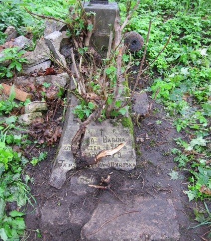 Nagrobek N.N. Babiny, cmentarz na Rossie w Wilnie, stan z 2013