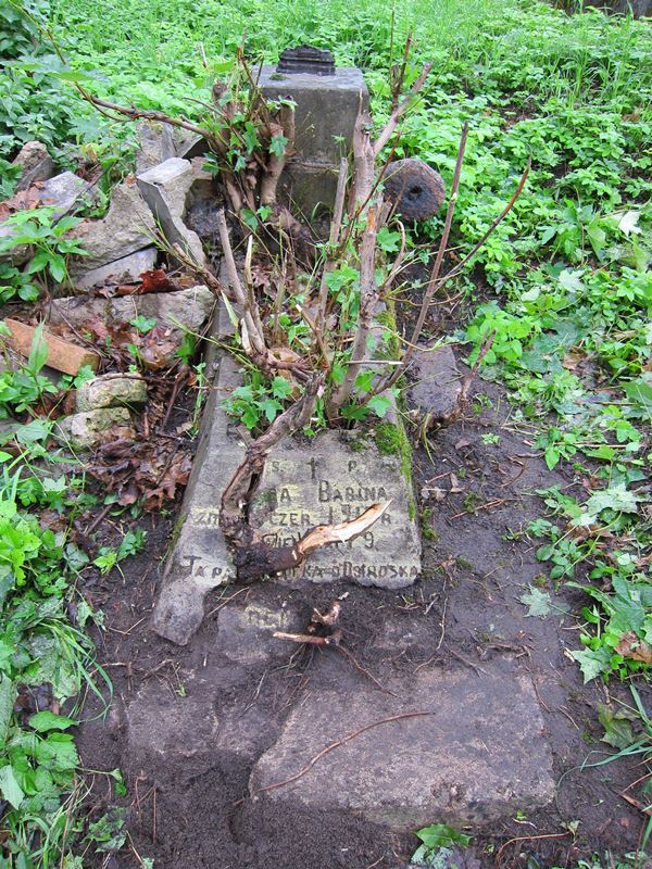 Nagrobek N.N. Babiny, cmentarz na Rossie w Wilnie, stan z 2013