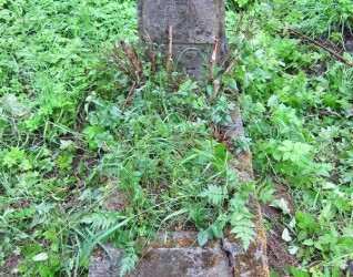 Nagrobek Heleny Skripskiej, cmentarz na Rossie w Wilnie, stan z 2013