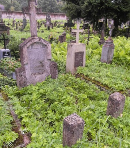 Nagrobek Józefa Tupaja de Izertingena, cmentarz Na Rossie w Wilnie, stan z 2013