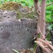 Fotografia przedstawiająca Nagrobek N.N.