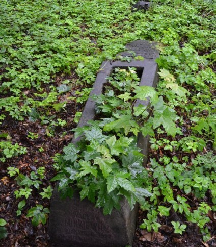 Nagrobek Wacława Minkiewicza, cmentarz na Rossie w Wilnie, stan z 2013