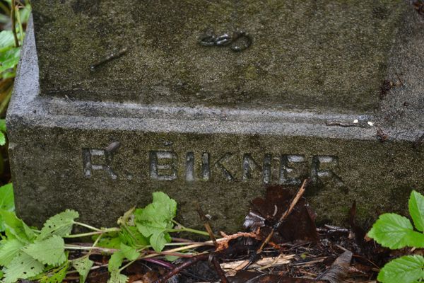 Fragment of Teofila Pavlovskaya's tombstone, Ross Cemetery, Vilnius, 2013