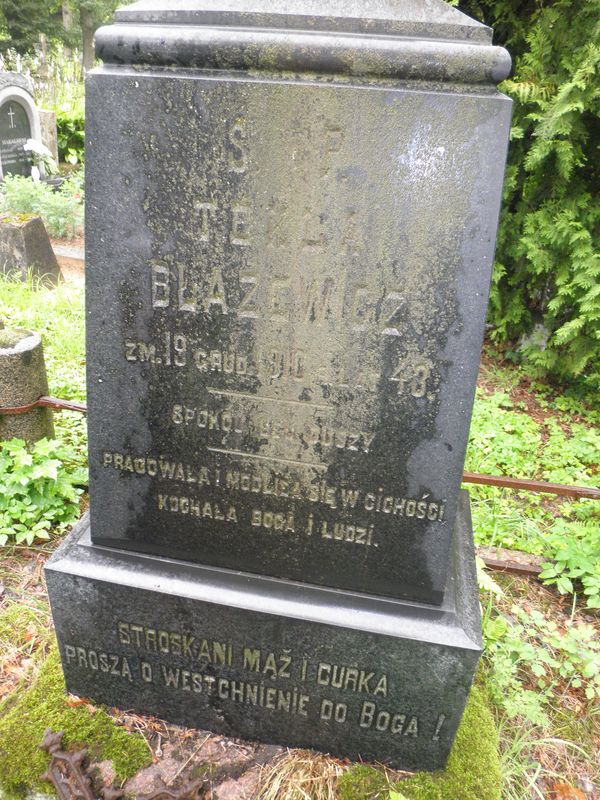 A fragment of the tombstone of Tekla and Stanislaw Blazevich, Na Rossie cemetery in Vilnius, as of 2013