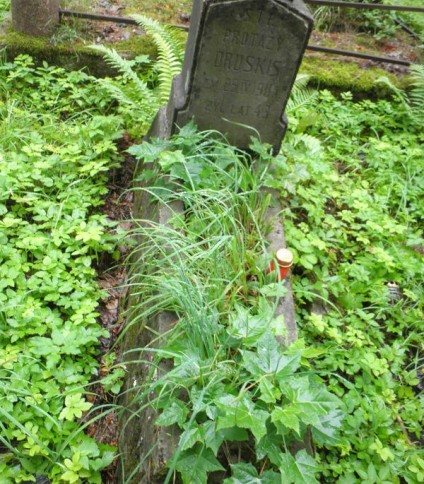 Nagrobek Protazego Druskisa, cmentarz Na Rossie w Wilnie, stan z 2013