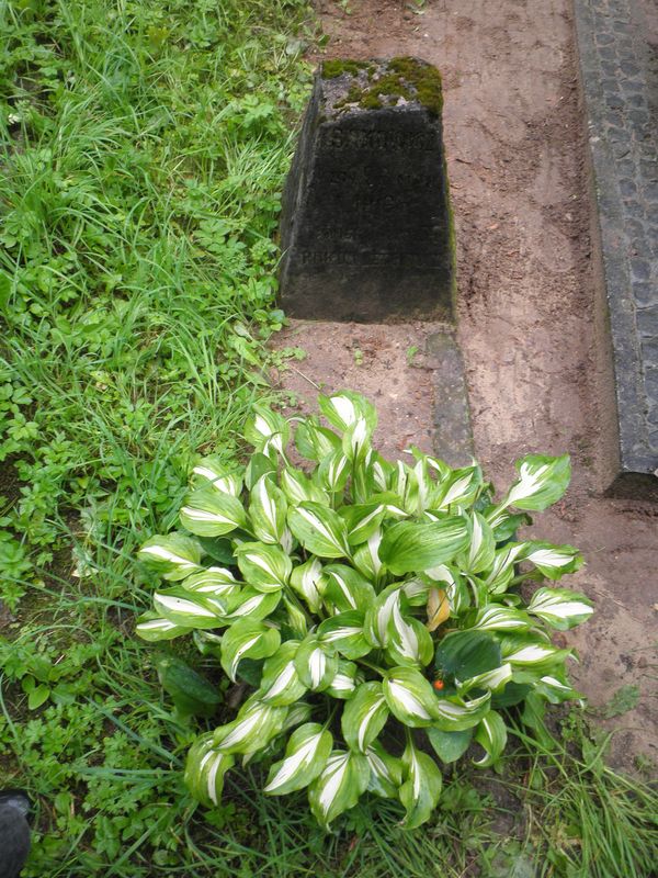 Tombstone of N. N. Samovich, Na Rossie cemetery in Vilnius, as of 2013