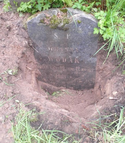 Nagrobek Joanny Wodak, cmentarz Na Rossie w Wilnie, stan z 2013