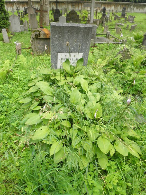 Tombstone of Mieczyslaw Pietkiewicz, Na Rossie cemetery in Vilnius, as of 2013