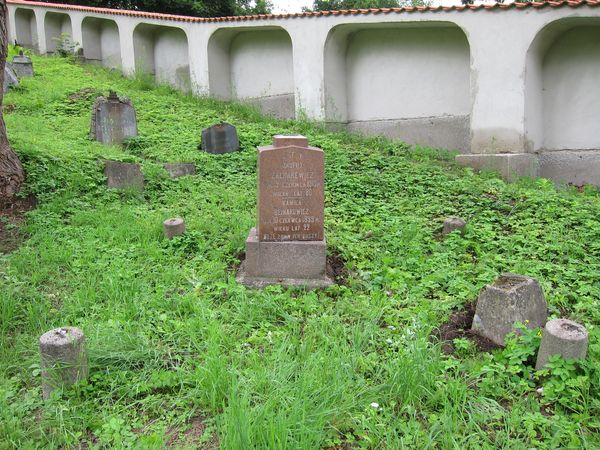 Nagrobek Jerzego Towjańskiego, cmentarz na Rossie w Wilnie, stan z 2013