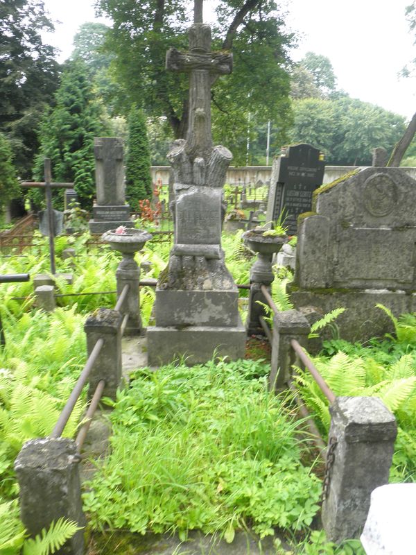 Nagrobek Kazimierza Janowicza, cmentarz Na Rossie w Wilnie, stan z 2013