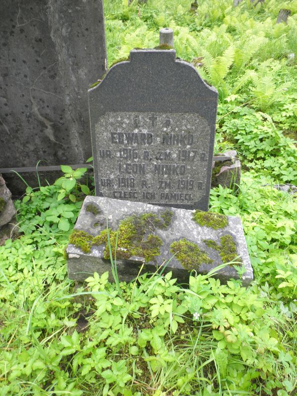 Nagrobek Edwarda i Leona Ninko, cmentarz Na Rossie w Wilnie, stan z 2013