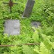 Альтернативний текст фотографії