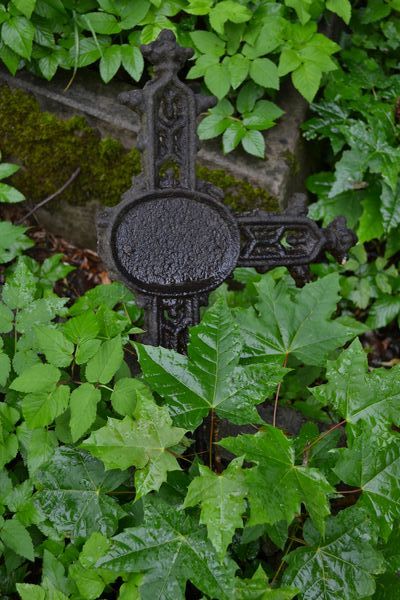 A fragment of the tombstone of Bolesław Syrewicz, Ross Cemetery in Vilnius, as of 2013