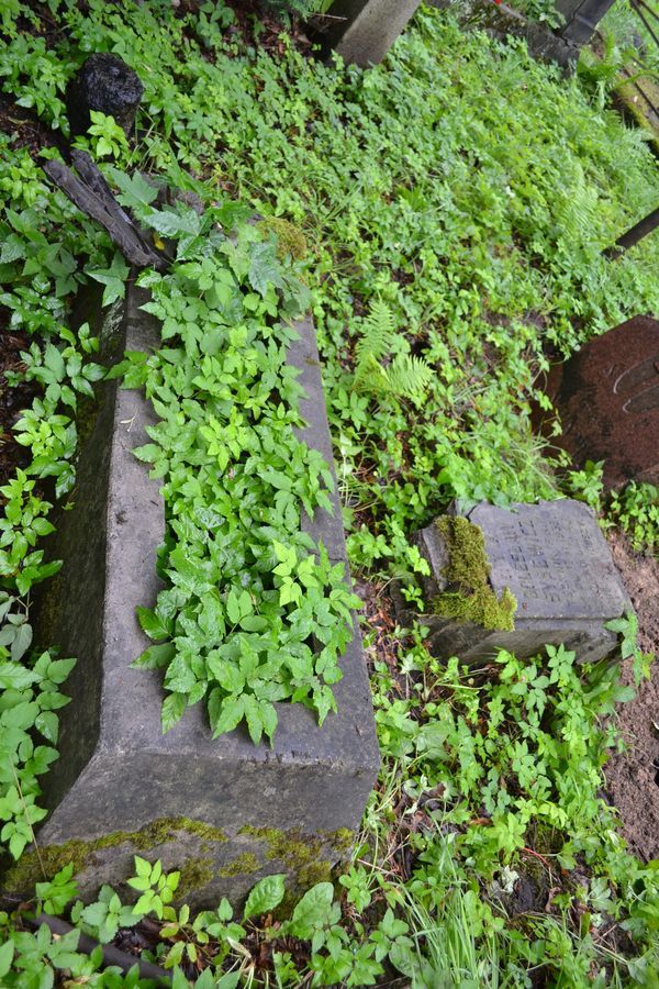 Tombstone of Boleslaw Syrewicz, Ross cemetery in Vilnius, state of 2013