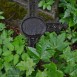 Photo montrant Tombstone of Bolesław Syrewicz