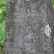 Photo showing Tombstone of Cecilia Protosiewiczow